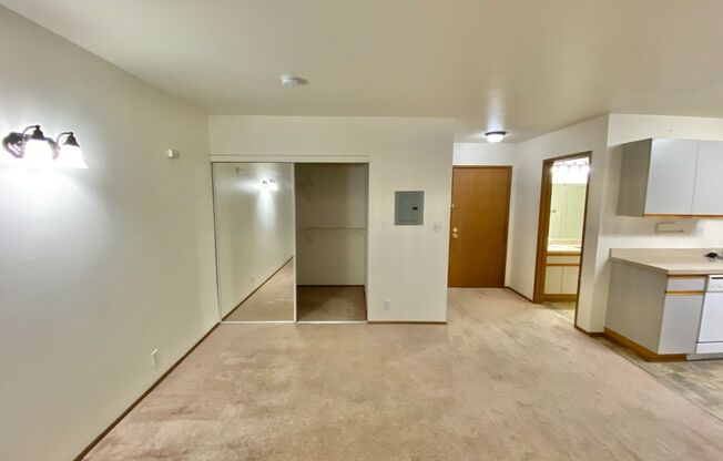 Studio, 1 bath, 413 sqft, $1,295, Unit 212