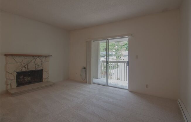 Beautiful updated Condo in Bellevue!