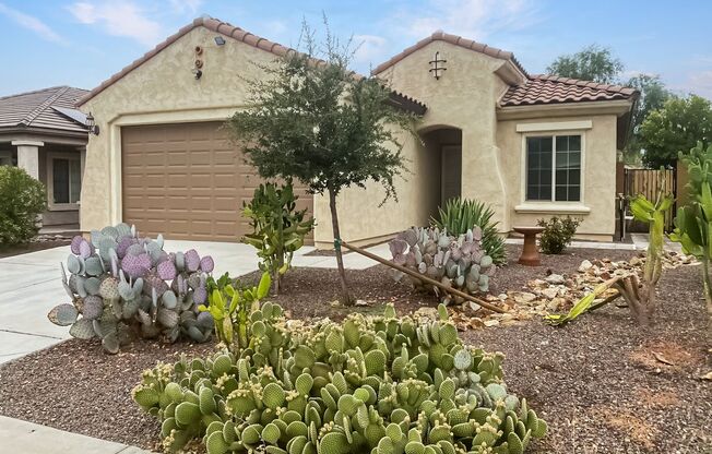 Worth the drive to Festival Foothills! All appliances!