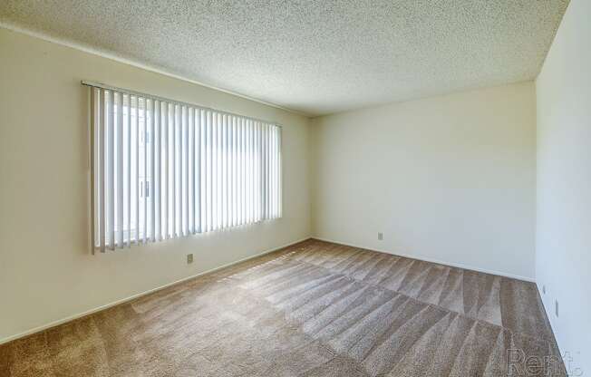 Apartments in Daly City for Rent - Terrace View - Empty Bedroom with Large Window and Carpet.at Terrace View Apartments, California, 94015