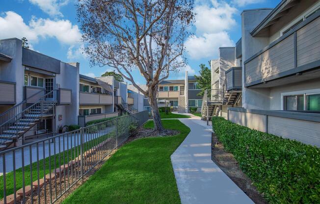 a path with trees on the side of a building