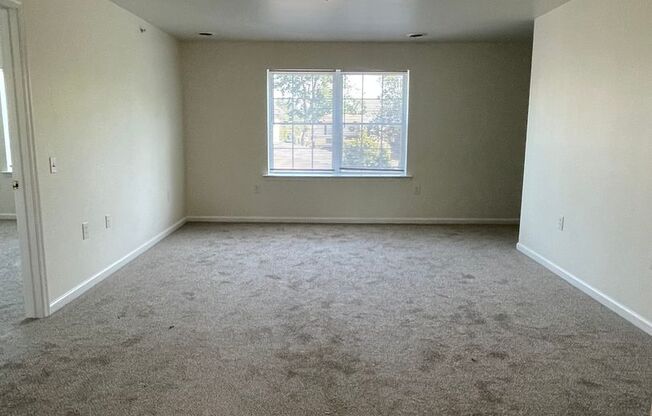 3490 Linden St.