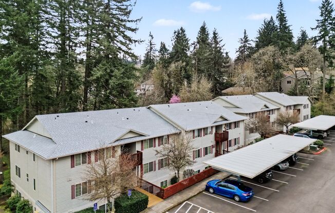 Lakeside Living at The Apartments at Cinnamon Lakes
