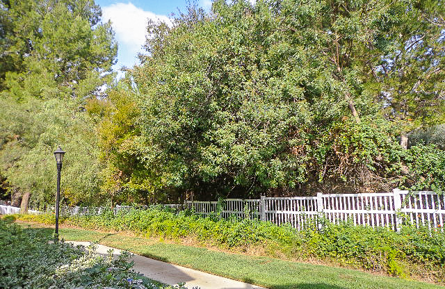 Beautiful 2 Bed / 2.5 Bath Condo in Fullerton