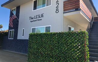Be the First in Just Renovated 2 bedroom and 1 bathroom apt home