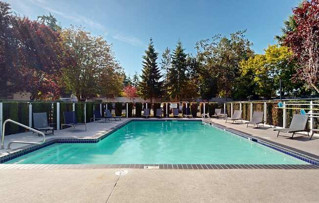 A large outdoor swimming pool surrounded by trees and lounge chairs.