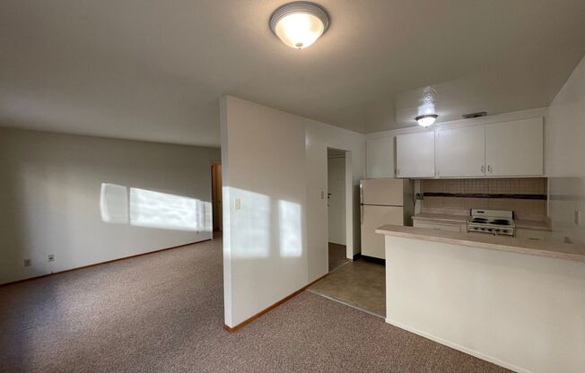 1 bed, 1 bath, 405 sqft, $1,545, Unit 304