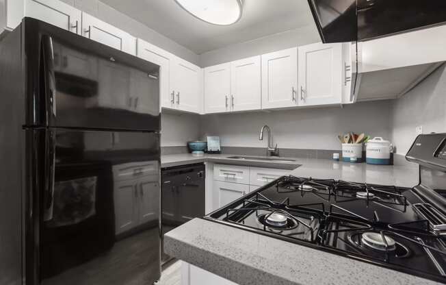 Kitchen appliances at Radius Apartments in Phoenix AZ Nov 2020