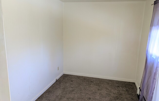 Studio Apartment in Speedway!