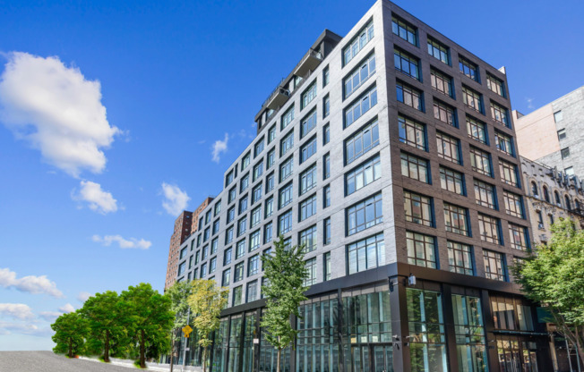 Studio, 1 bath, $2,995, Unit 5E