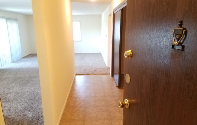 A hallway with a brown door and a carpeted floor.