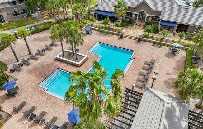 A pool surrounded by palm trees and lounge chairs.