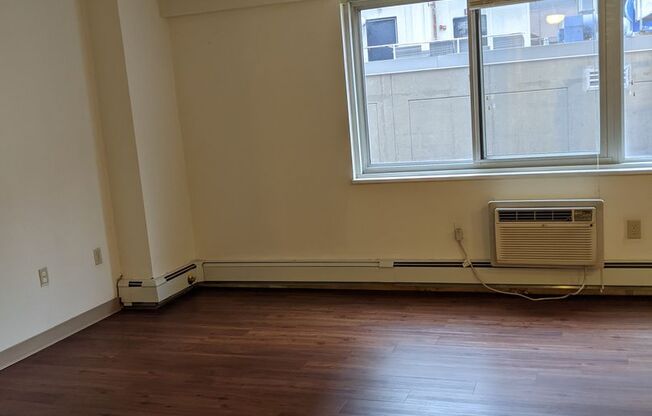 Studio, 1 bath, 431 sqft, $2,500, Unit 1203