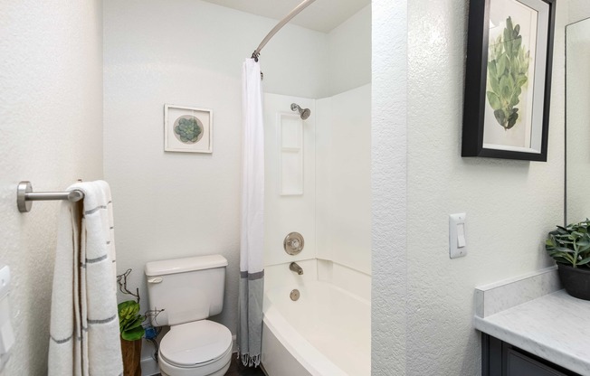 a bathroom with a shower and a toilet and a sink