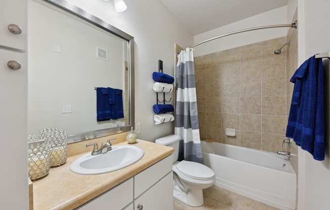 a bathroom with a sink and a toilet and a bath tub