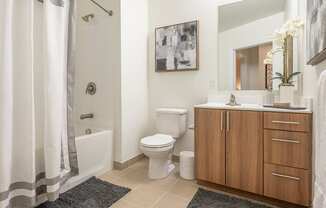 Luxurious Bathrooms with Large Showers