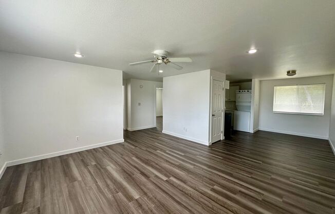 Available in July - 2025 Yew St!