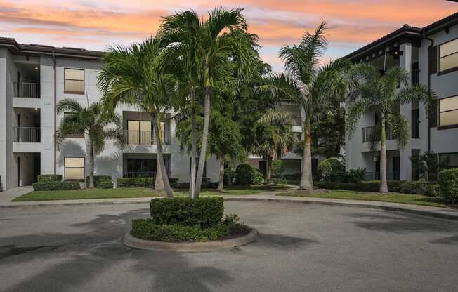 A palm tree in front of a building with a round bush in the middle of the road.