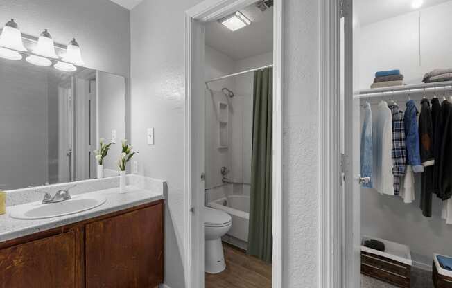 a bathroom with a shower and a sink and a mirror
