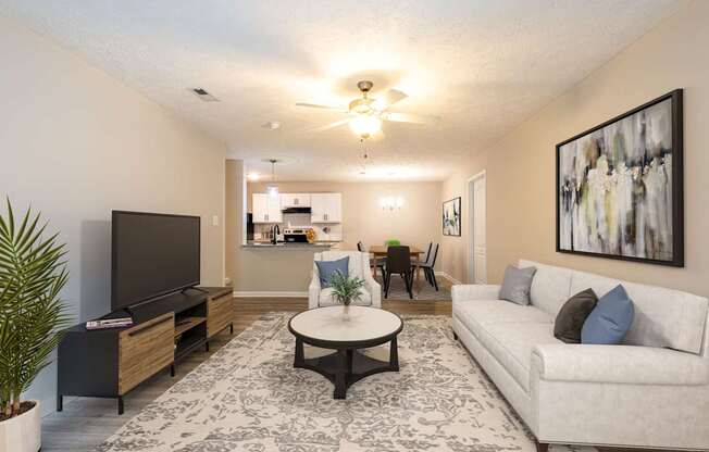 A living room with a television, couch, and a plant.