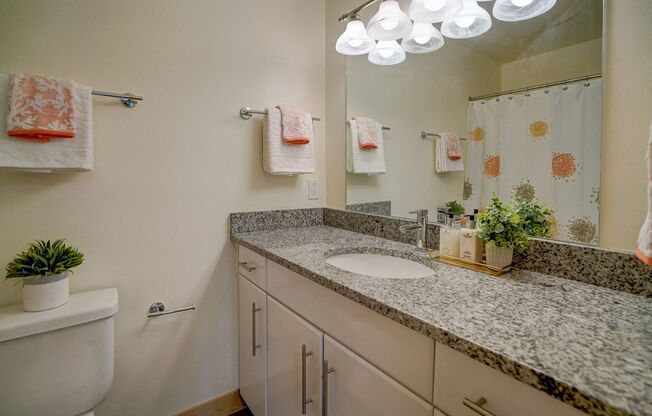 Studio, 1 bath, $1,125