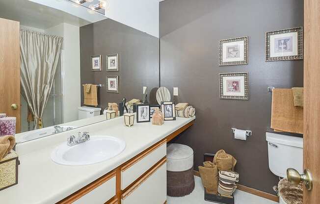 Classic Full-Size Bathroom with White Countertop and Vanity