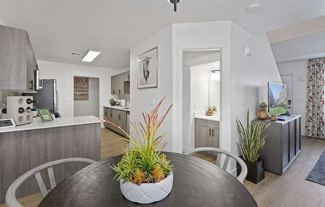 a dining room table with a potted plant on top of it in a kitchen