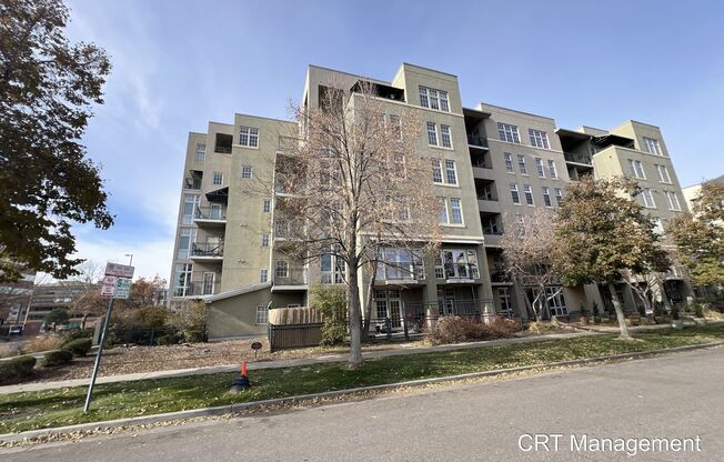 Charming 1 Bed, 1 Bath Condo Available in Cherry Creek.