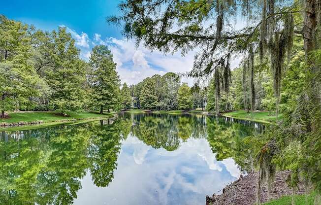 Lake at St. Johns Forest Apartments, Jacksonville, Florida