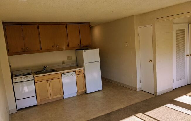 Studio, 1 bath, 302 sqft, $1,100, Unit 104