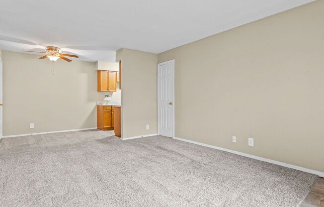 1 bed, 1 bath, 720 sqft, $899, Unit Apt 509