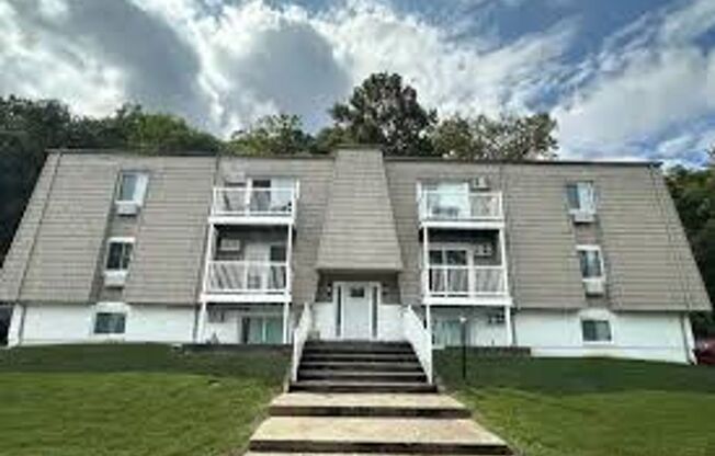 Newly Renovated Apartments