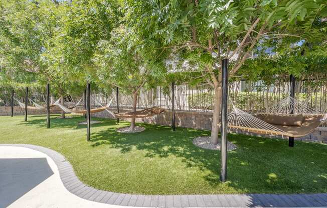 Hammock garden shaded by mature trees near the pool