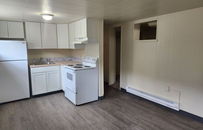 Updated Apartment