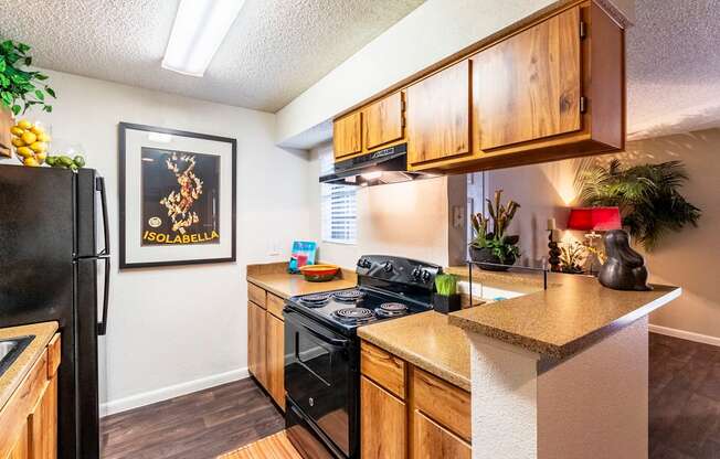 Kitchen View at The Hollows Apartments in San Antonio, TX