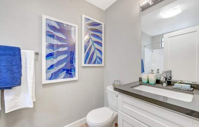 Bathroom at Altair, California