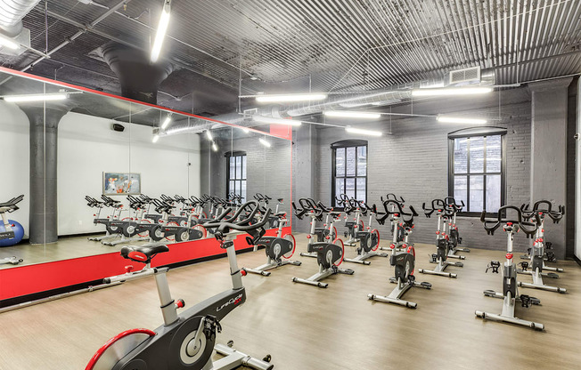 A gym with a row of stationary bikes.