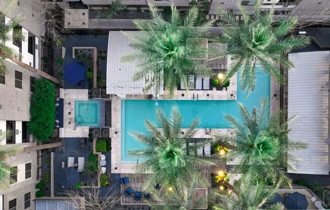 A pool surrounded by palm trees and buildings.