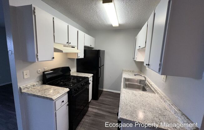 2 Bedroom 1 Bathroom Garden Level Apartment in Aurora