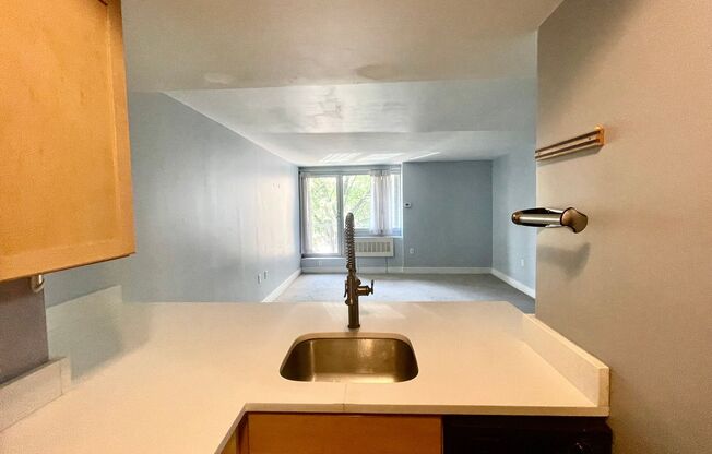 Studio, 1 bath, $1,830, Unit Apt S325