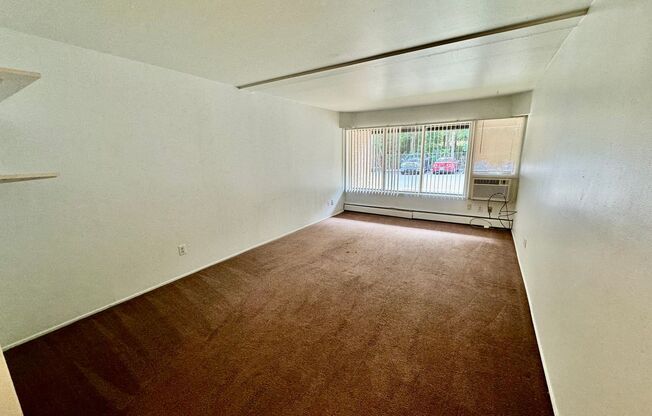 1 bed, 1 bath, 700 sqft, $1,095, Unit 111