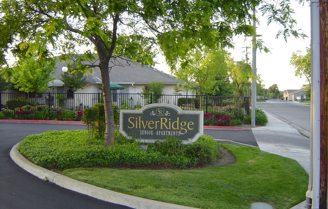 Silver Ridge