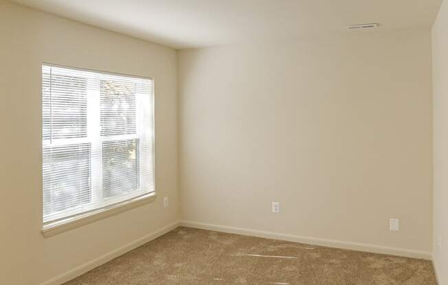 an empty living room with carpet and a window