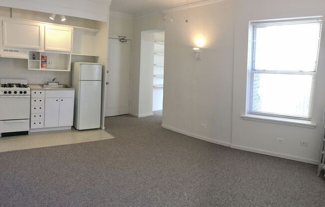 Studio, 1 bath, 233 sqft, $1,160, Unit 811