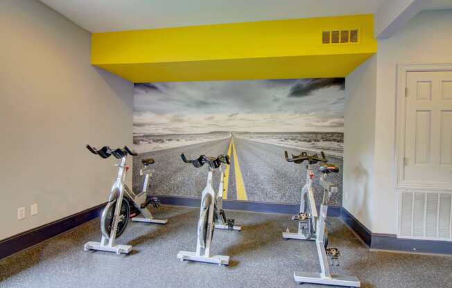 a room with two bikes and a mural on the wall