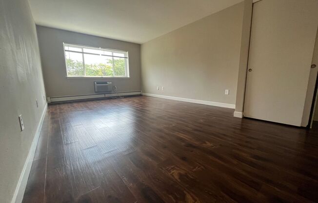 1 bed, 1 bath, $1,095, Unit 317