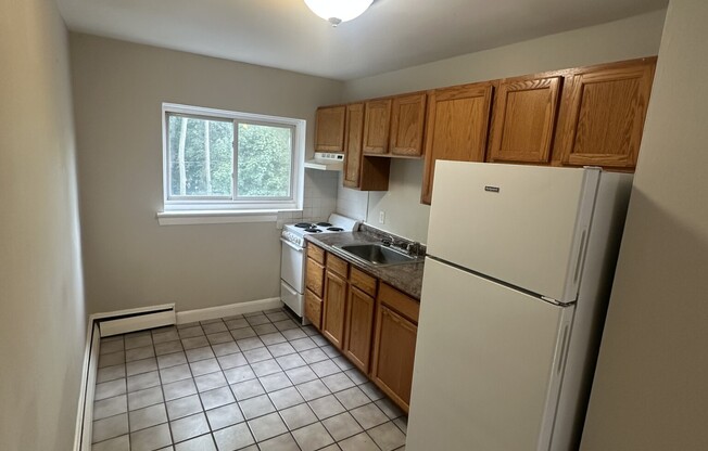 63 Selkirk Rd