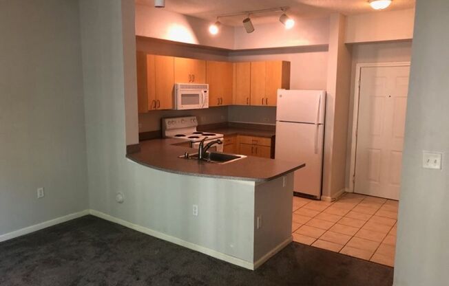 Beautiful 1/1 condo with great amenities