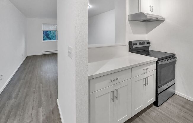 Studio, 1 bath, 410 sqft, $1,295, Unit 408