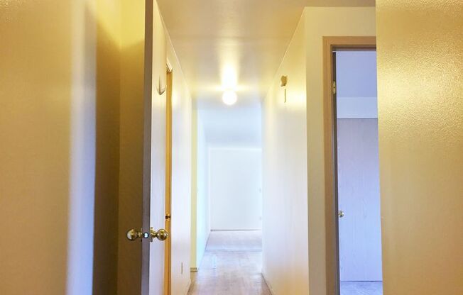 Maple Leaf Plaza Apartments